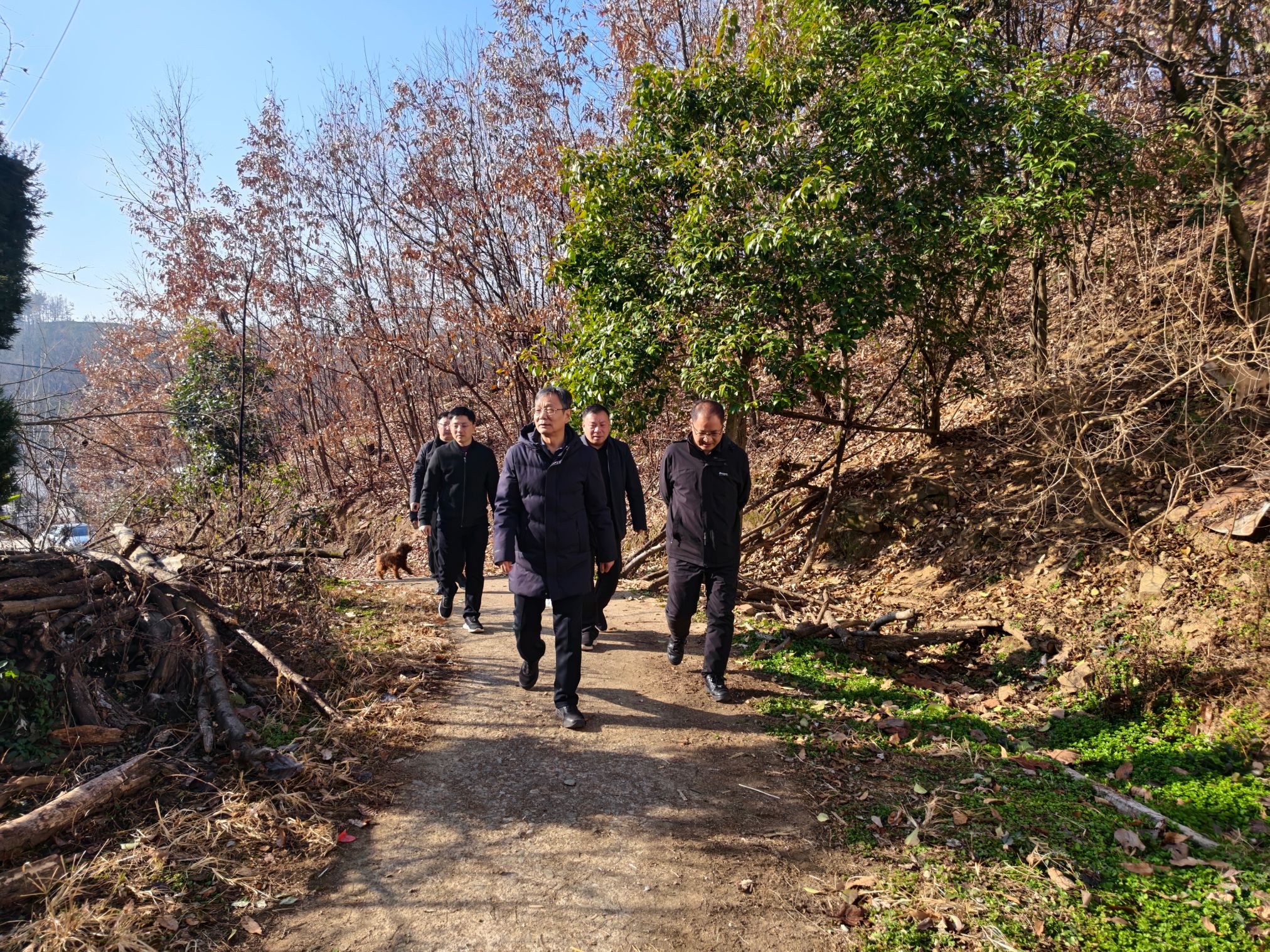 调研指导现场.jpg